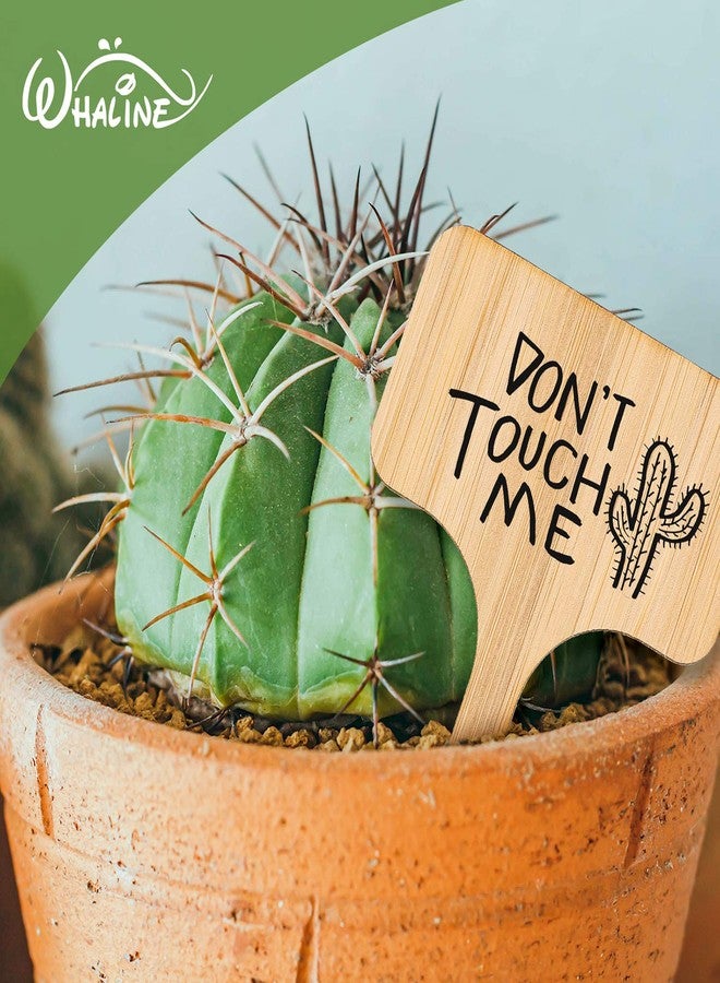 وولاين مجموعة من 30 قطعة من ملصقات نباتات الخيزران من والين مع قلم تحديد، علامات نباتات خشبية على شكل حرف T، علامات حدائق للبذور والأعشاب والزهور والخضراوات المزروعة في أصص (6 × 10 سم) - Image 4